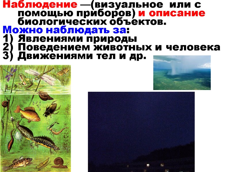Наблюдение —(визуальное  или с помощью приборов) и описание биологических объектов. Можно наблюдать за: